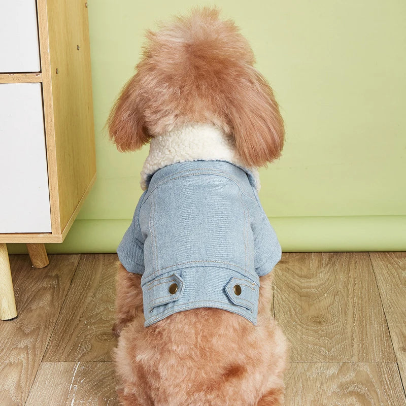 Warm Jean Jacket for Winter