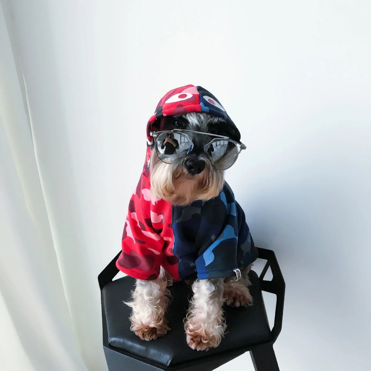 Stylie Dog Jacket