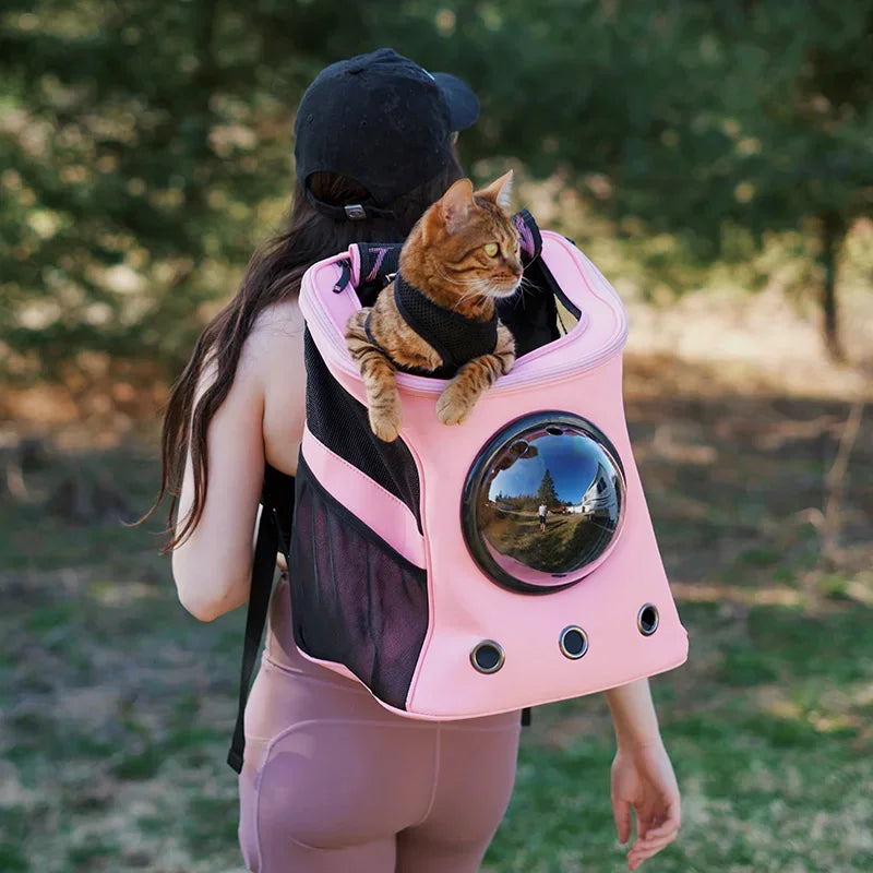 Outdoor Pet Cat Carrier Large Adventure Space Capsule Backpack