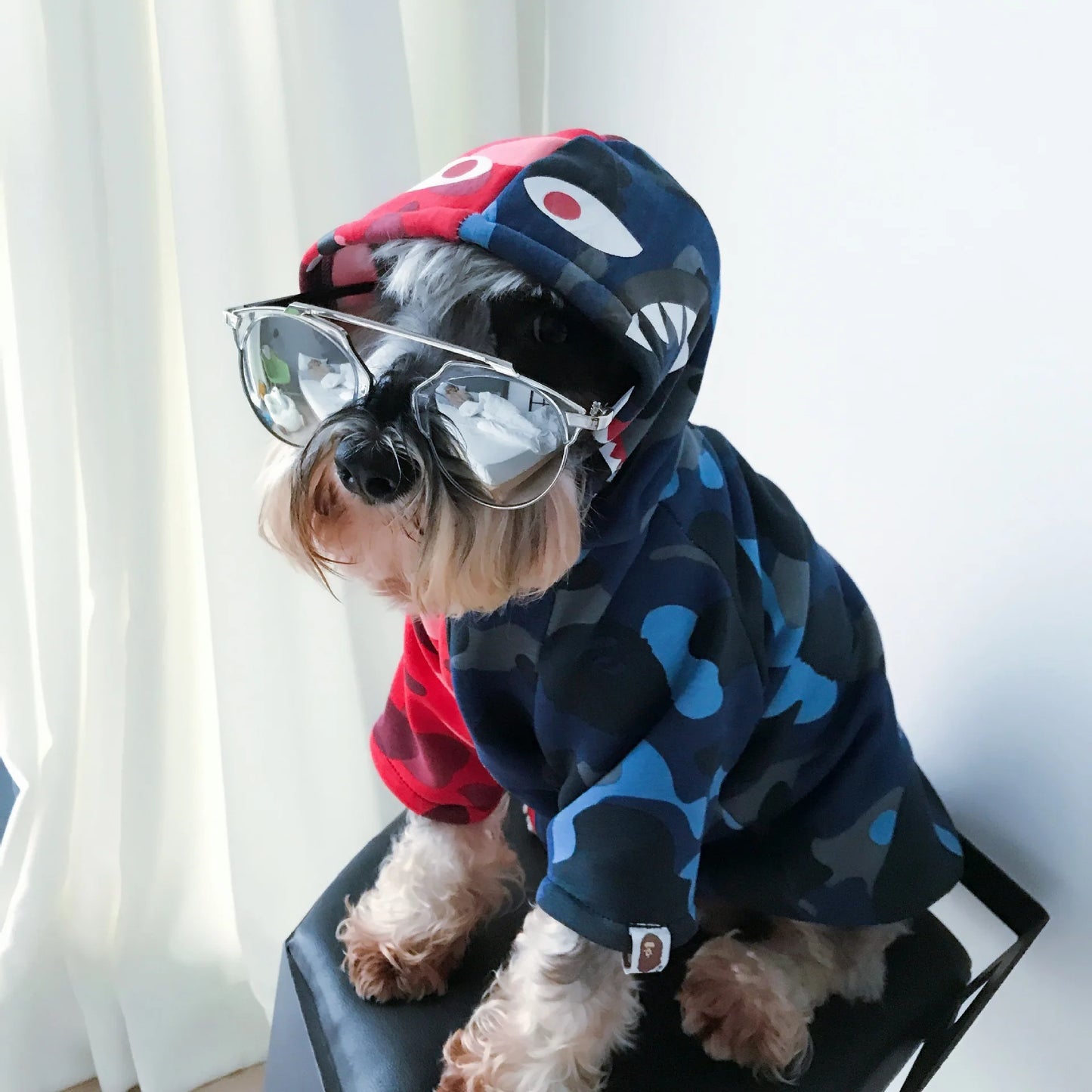 Stylie Dog Jacket