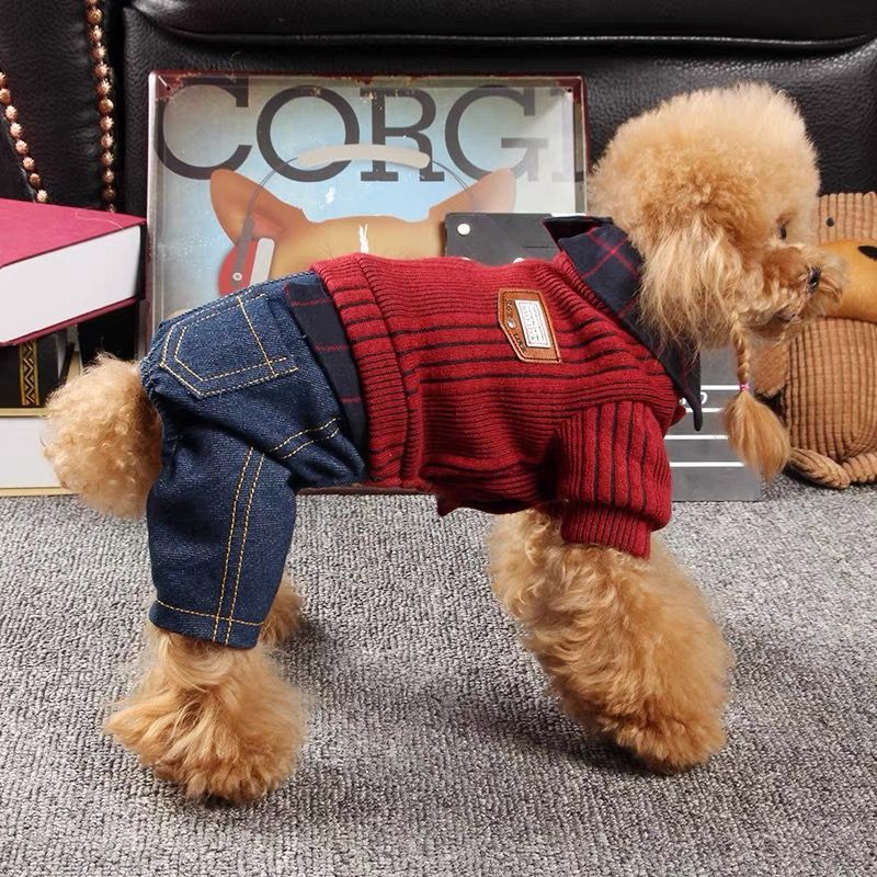 Dog Four Legged Sweater