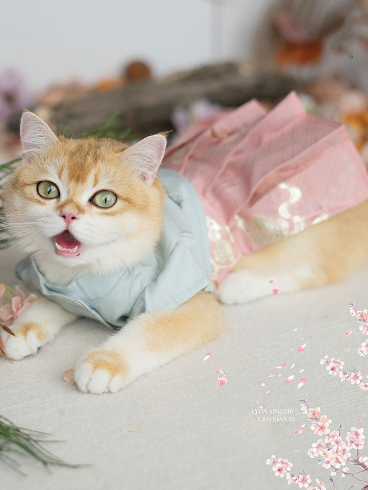 Hanfu Cat Clothes Dog Skirt