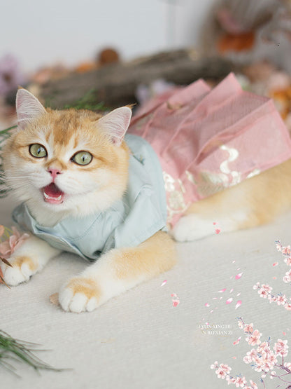 Hanfu Cat Clothes Dog Skirt