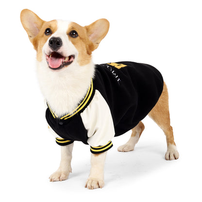 Stylie Baseball Sweater
