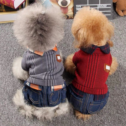 Dog Four Legged Sweater