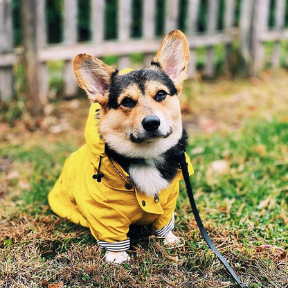 Waterproof Puppy Fashion Raincoat