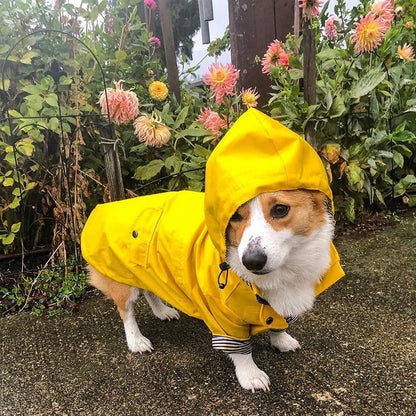 Waterproof Puppy Fashion Raincoat