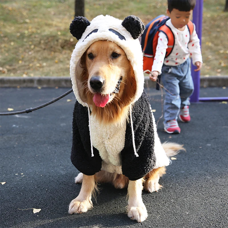 image_0