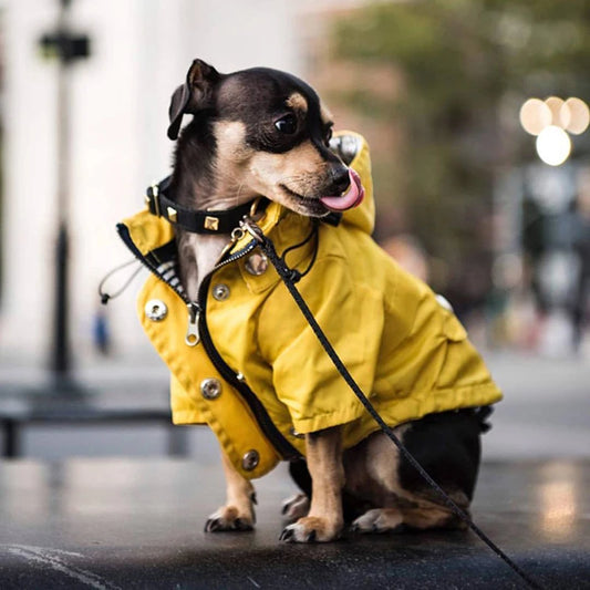Waterproof Puppy Fashion Raincoat
