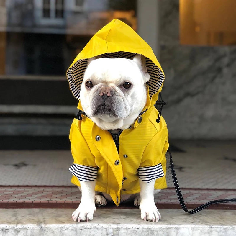 Waterproof Puppy Fashion Raincoat