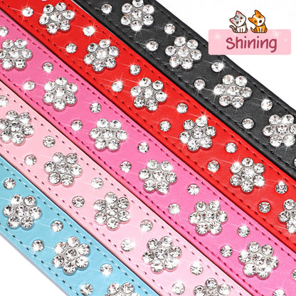 Rhinestone Leather and Crystal Dog Collars