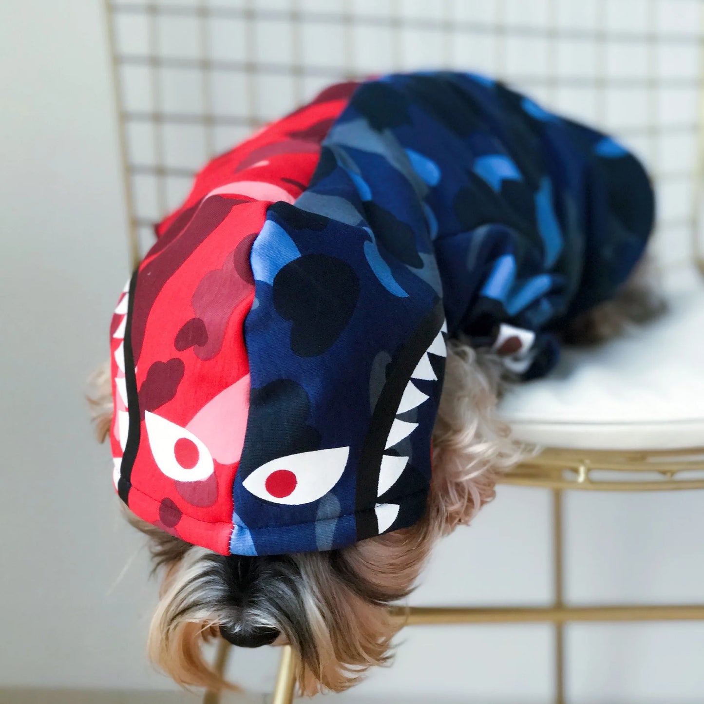 Stylie Dog Jacket