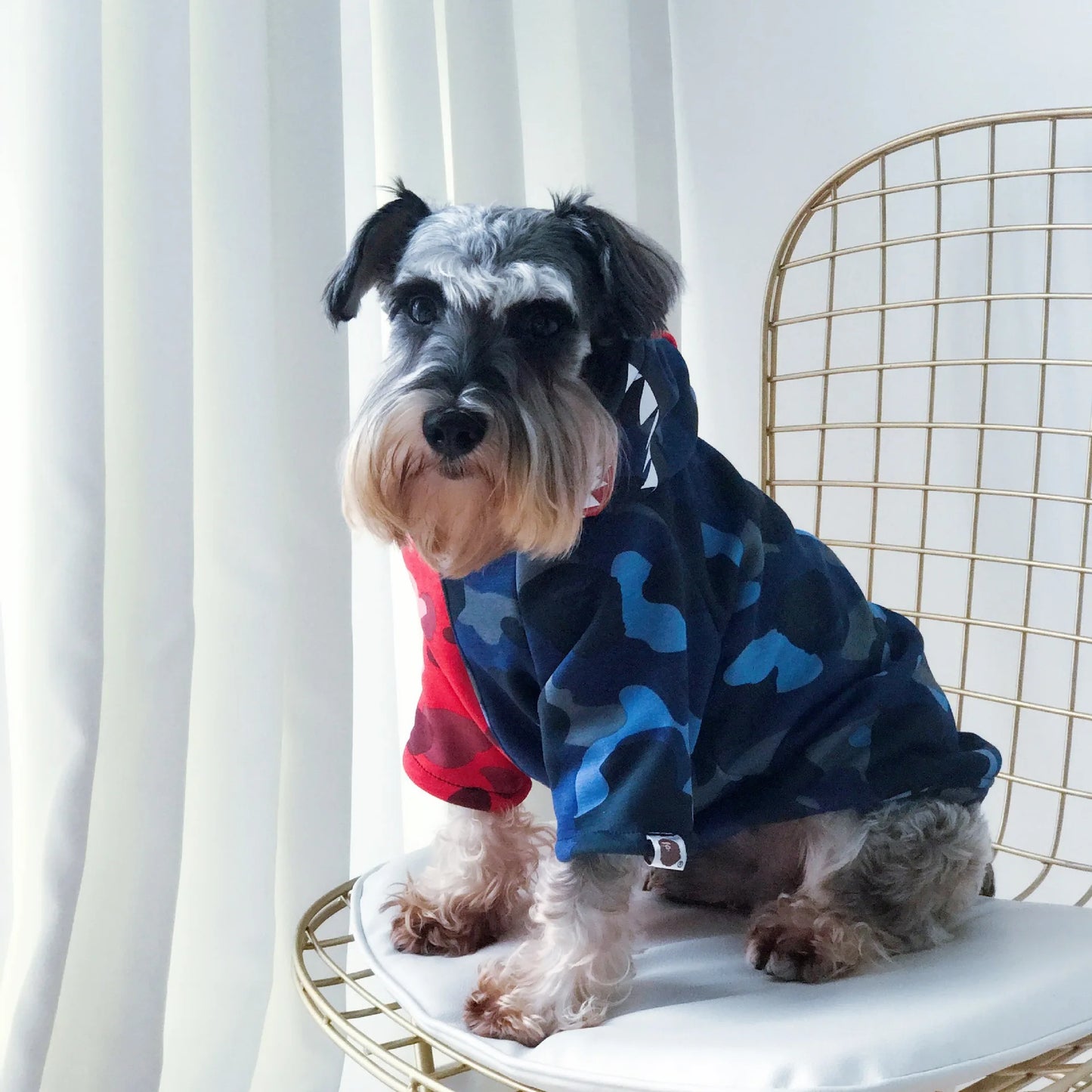 Stylie Dog Jacket