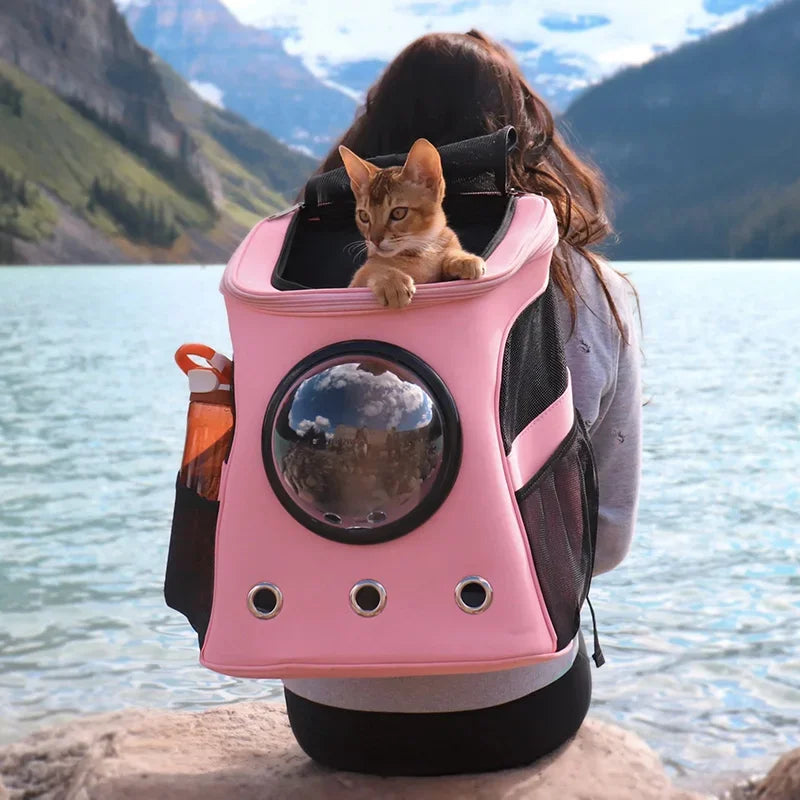 Outdoor Pet Cat Carrier Large Adventure Space Capsule Backpack