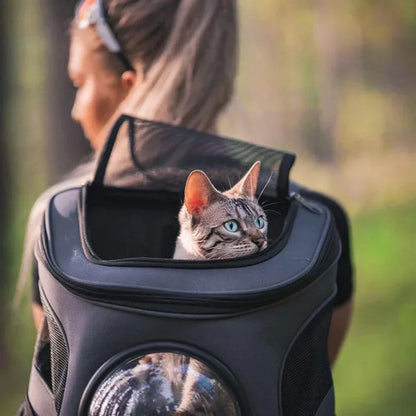 Outdoor Pet Cat Carrier Large Adventure Space Capsule Backpack