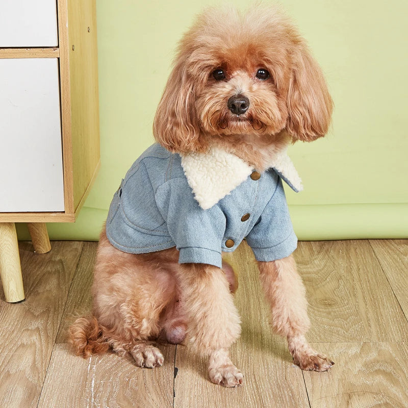 Warm Jean Jacket for Winter