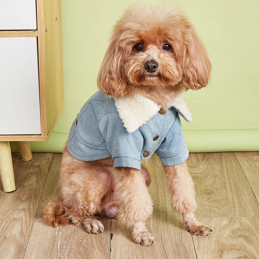 Warm Jean Jacket for Winter
