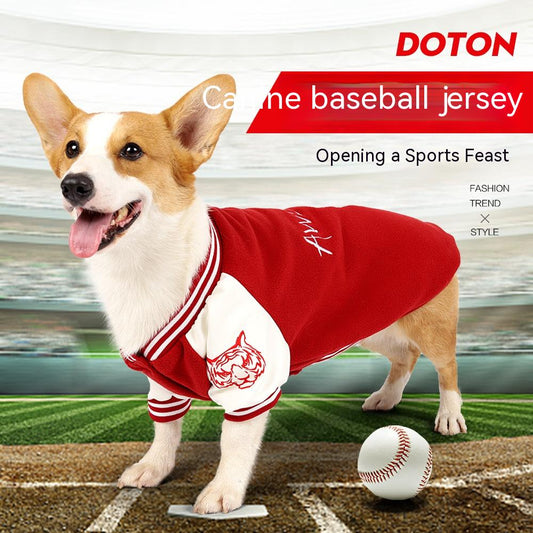 Stylie Baseball Sweater